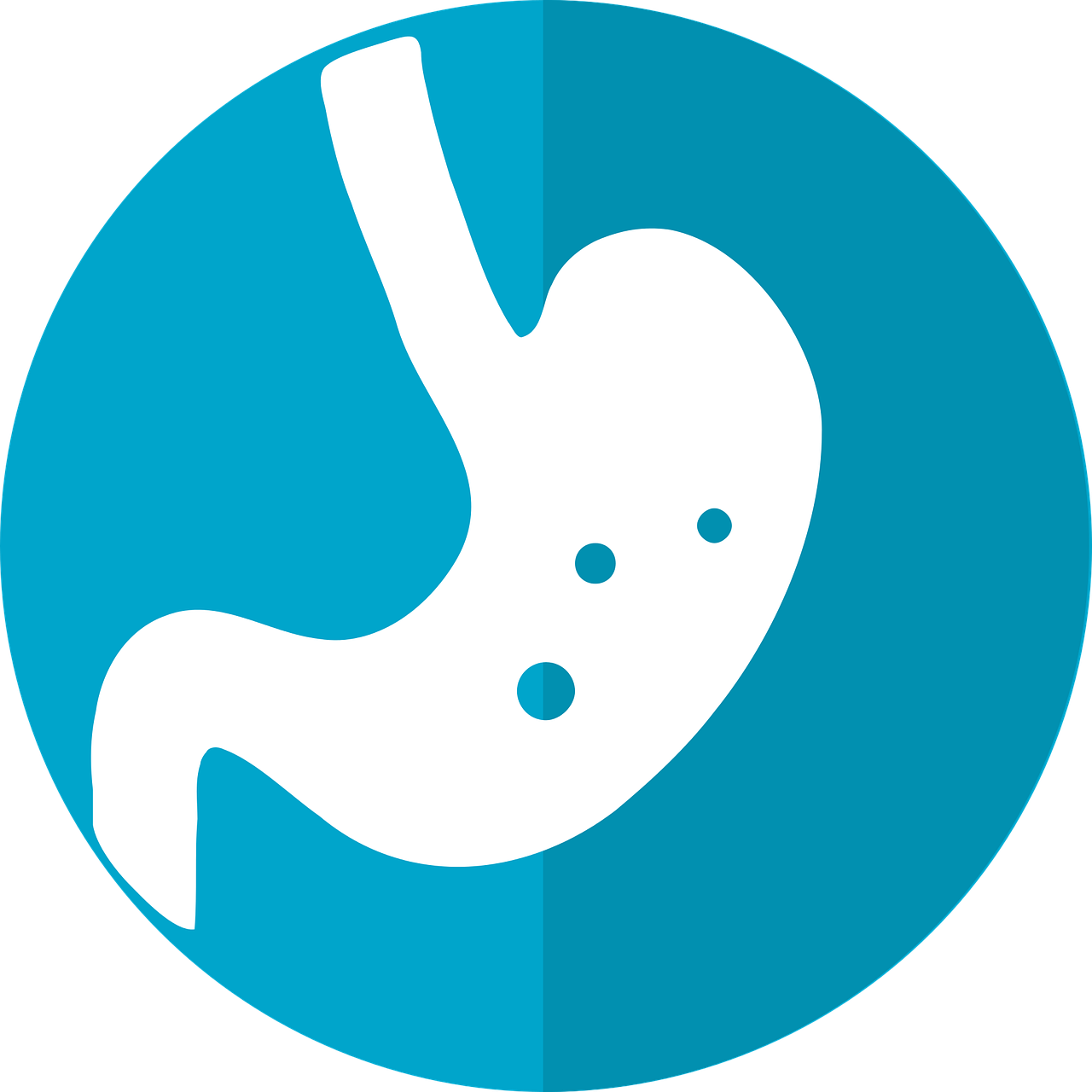 stomach-icon-2316627_1280-1280x1280.png